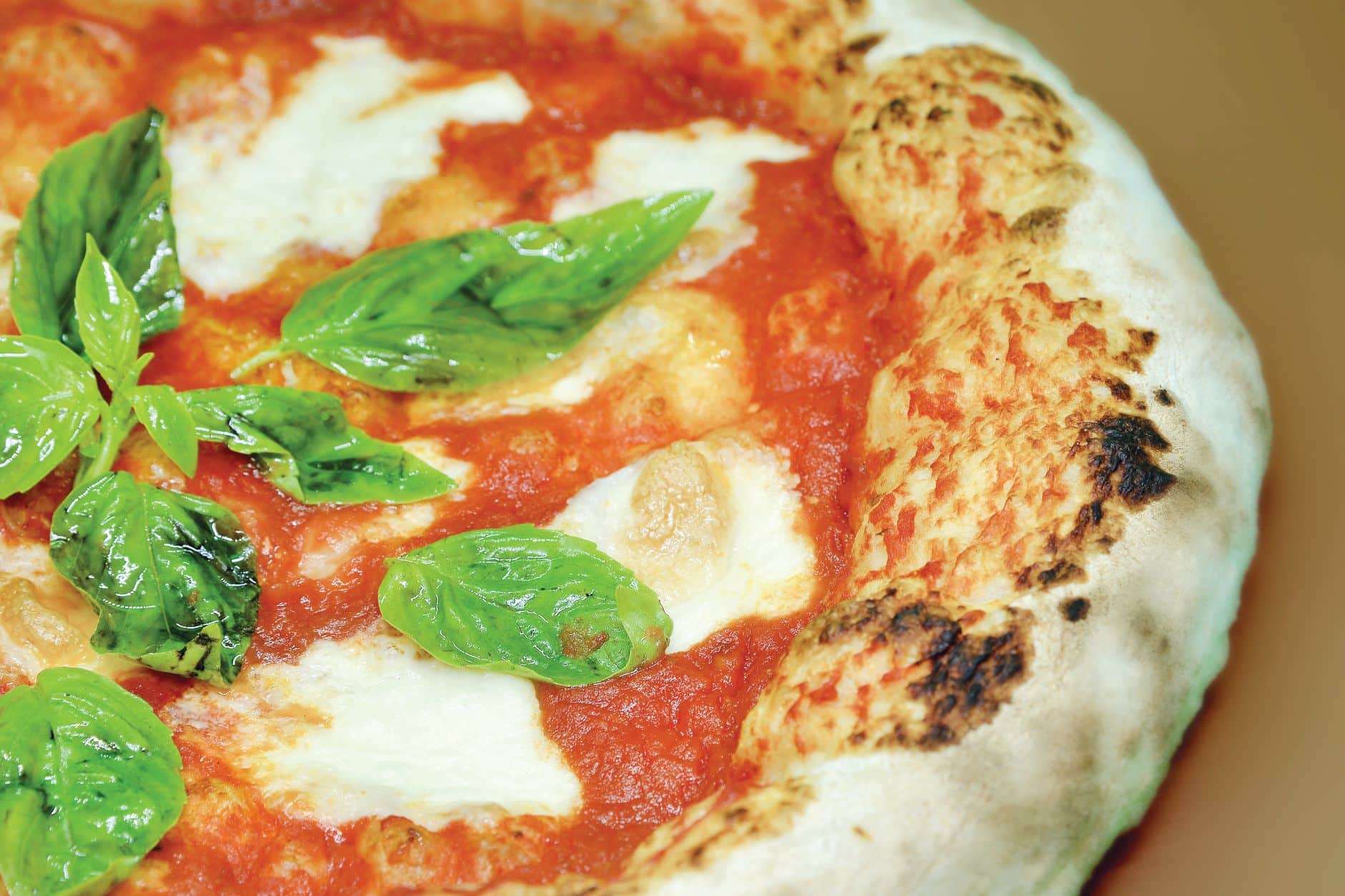Vraie pizza napolitaine Margherita avec mozzarella fondante et basilic frais, cornicione gonflé et leopardatura