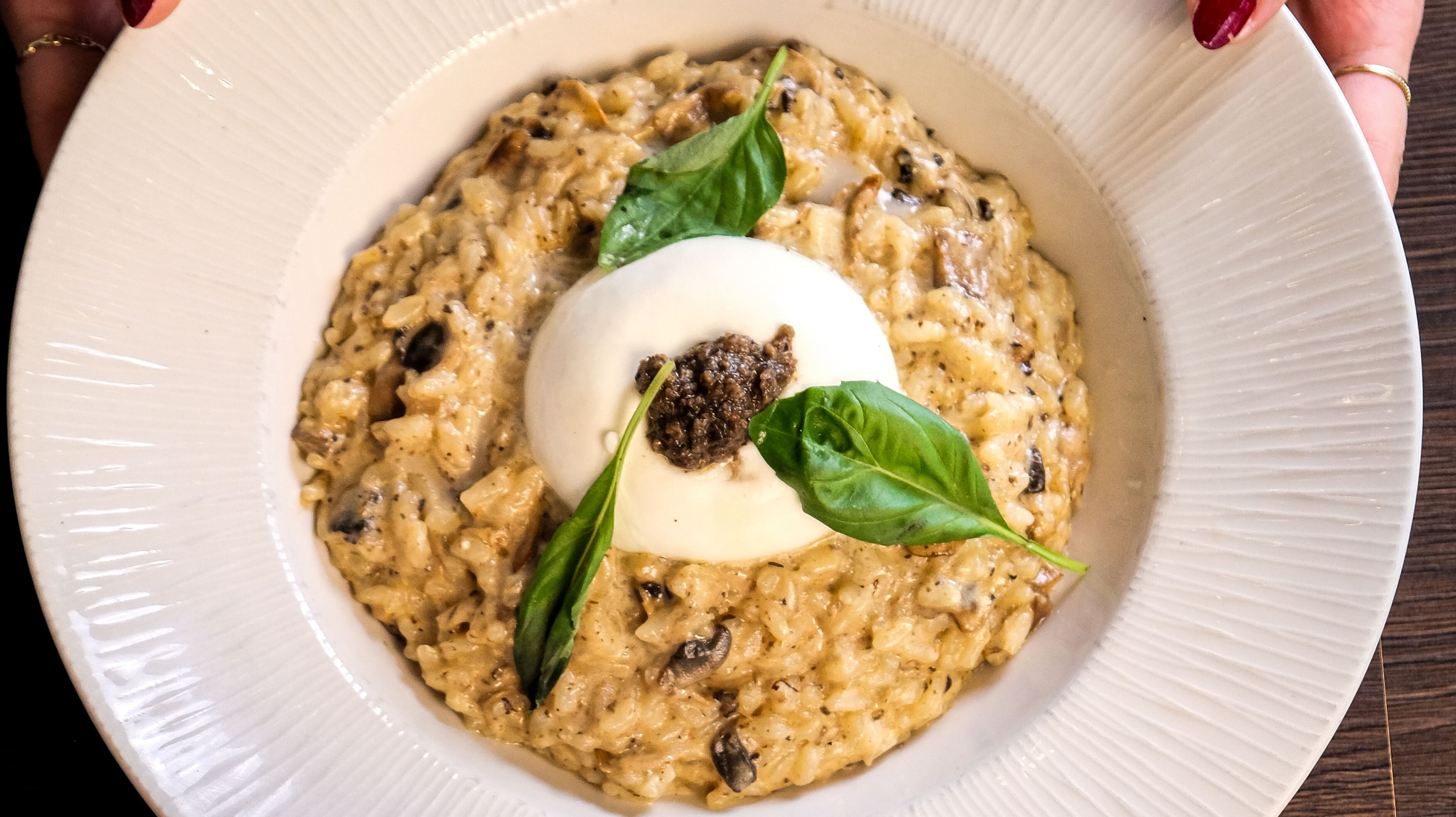 Risotto crémeux aux champignons et à la truffe surmonté d'une burrata et de basilic frais chez Fabioli