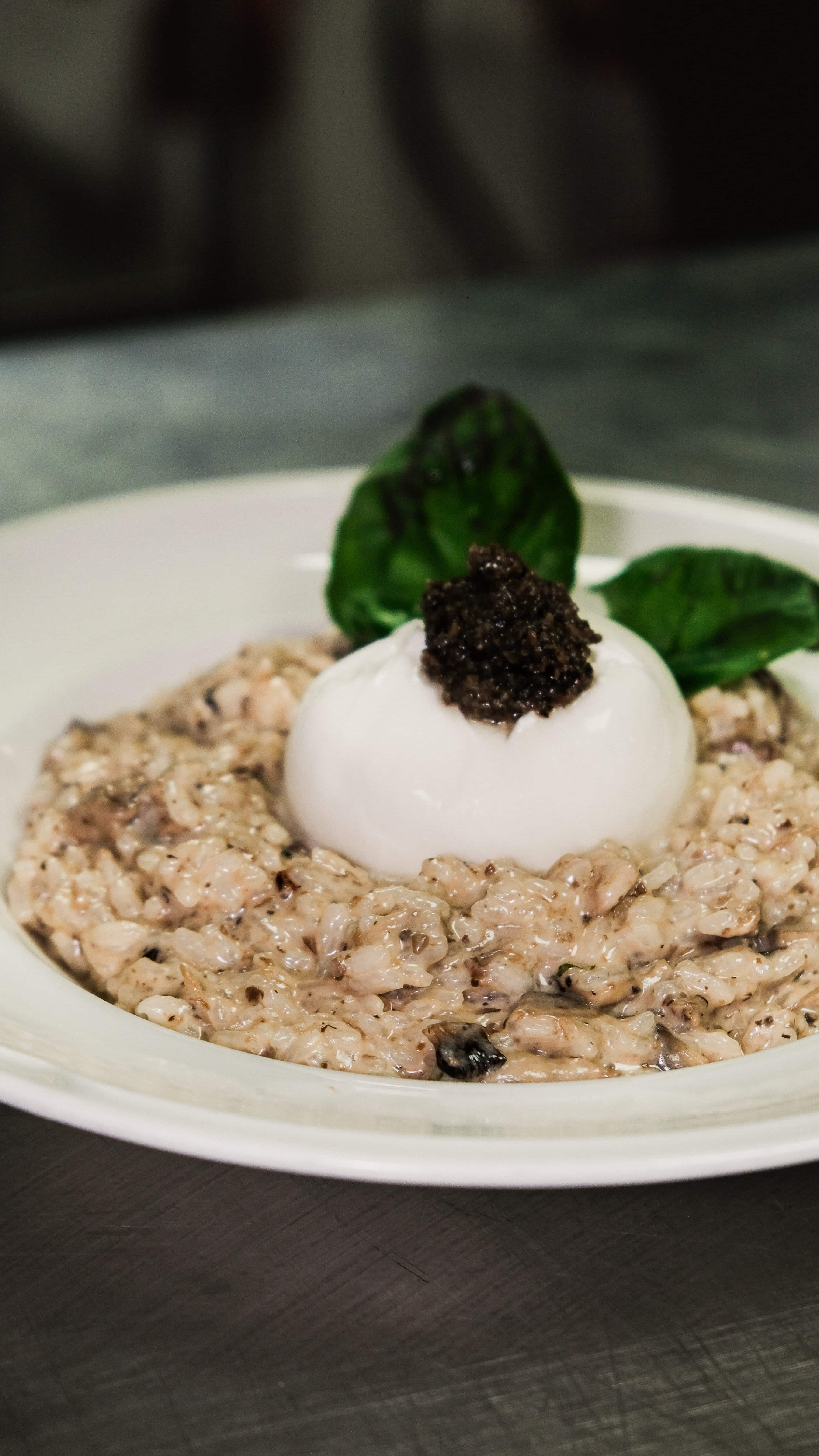 Risotto crémeux à la truffe surmonté d'une burrata et de basilic frais chez Fabioli